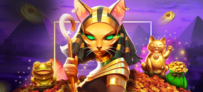 Vox Casino Polska - Legalne Kasyno Online